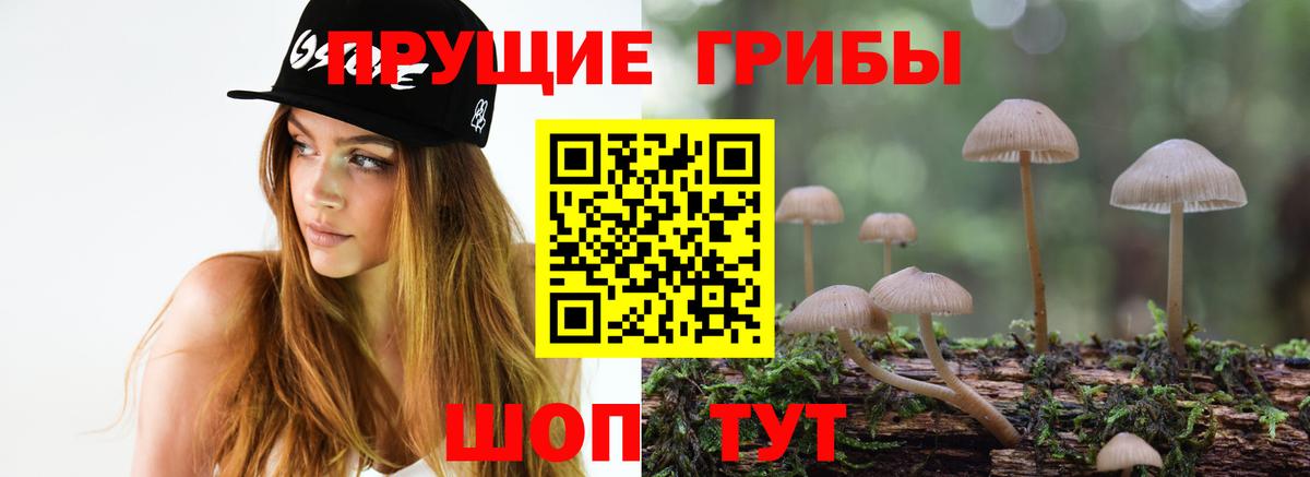 Галлюциногенные грибы прущие грибы Коммунар